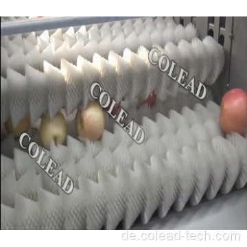Obst- und Gemüse -Waschmaschine von Colad